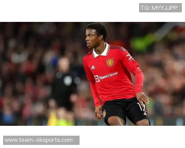 曼联冬窗或外租齐尔克泽埃弗顿西汉姆帕尔马等队争抢